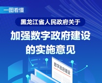 【图解】黑龙江省人民政府关于加强数字政府建设的实施意见
