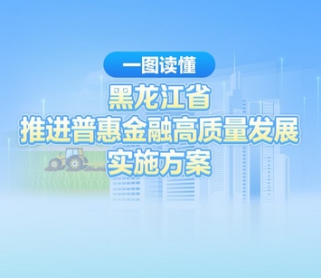 【图解】一图读懂黑龙江省推进普惠金融高质量发展实施方案
