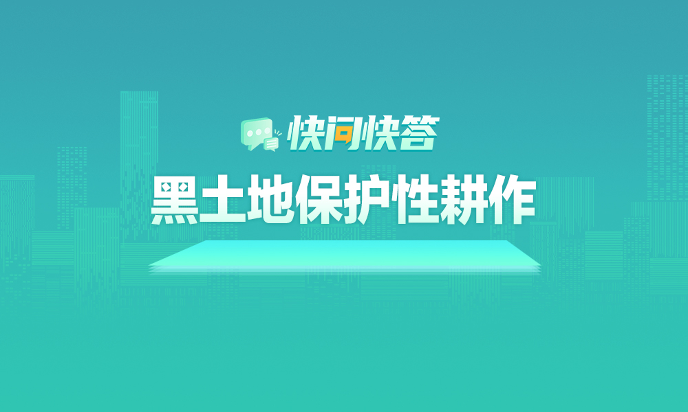 关于黑龙江省2025年黑土地保护性耕作，快问快答帮您解答！