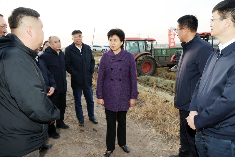 宾县英杰村村支部书记图片