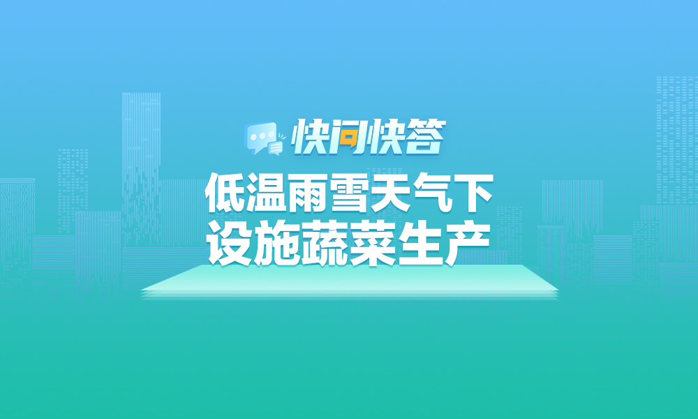 关于低温雨雪天气下设施蔬菜生产，快问快答帮你解答