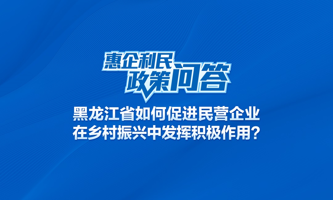 黑龙江省如何促进民营企业在乡村振兴中发挥积极作用？