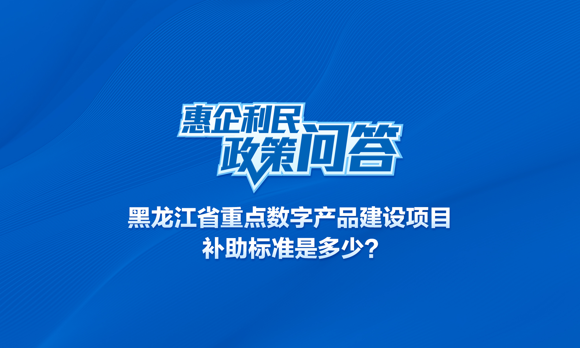 黑龙江省重点数字产品建设项目补助标准是多少？