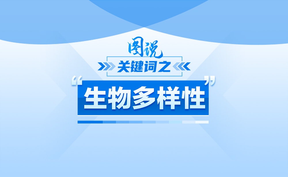 什么是“生物多样性”？政策点读带你一起了解！