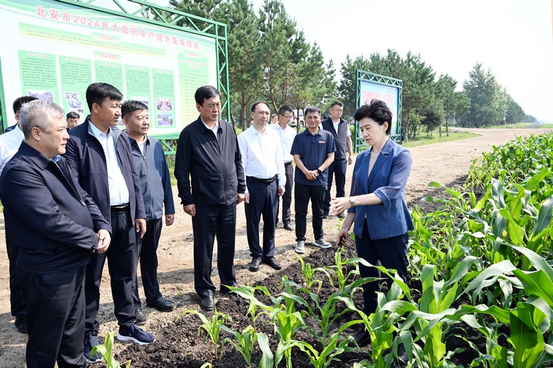 省委副书记,省长梁惠玲在北安市二井镇自和村玉米地块,实地察看近期强